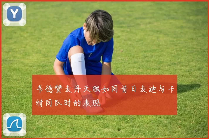 韦德赞麦丹天赋如同昔日麦迪与卡特同队时的表现