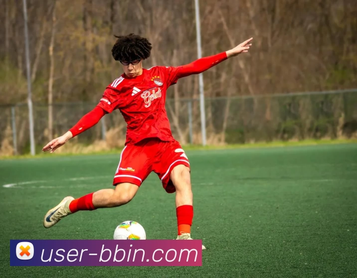 宝盈体育平台生态图